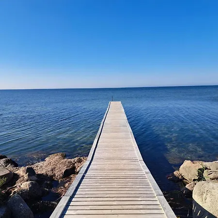 5 Star In * Nysted